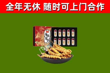 卫滨区回收冬虫夏草价格